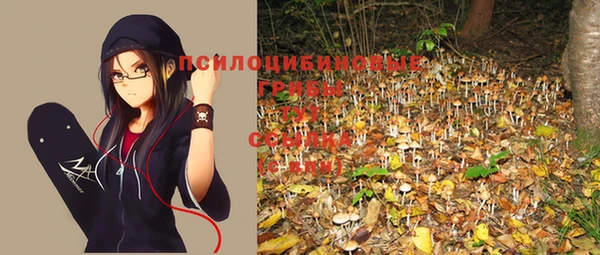 трава Балахна